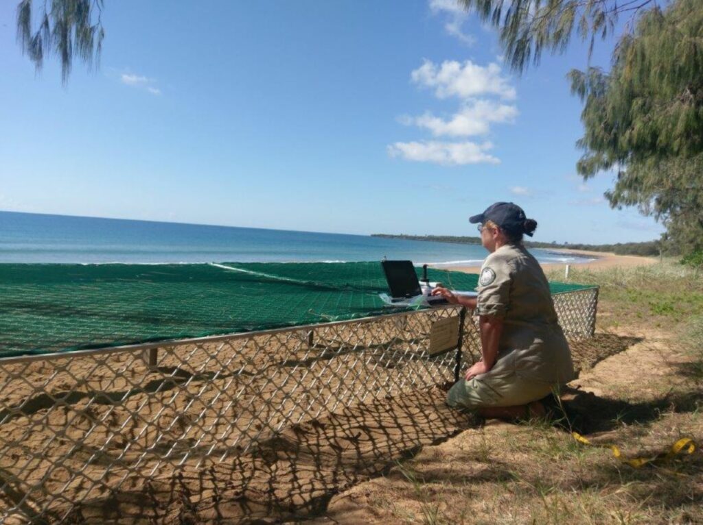 Janine turtle conservation