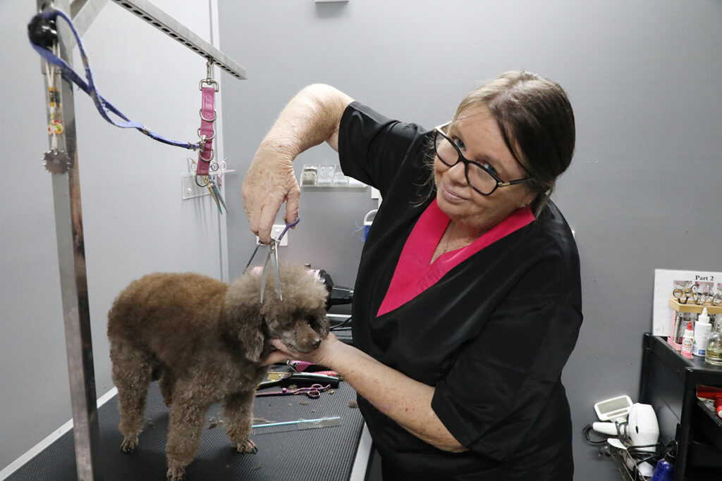 Indulgence Dog Spa