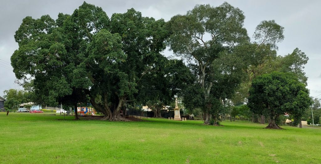 Cordalba play children