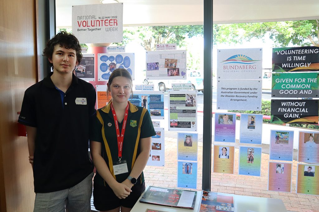 Council volunteer project