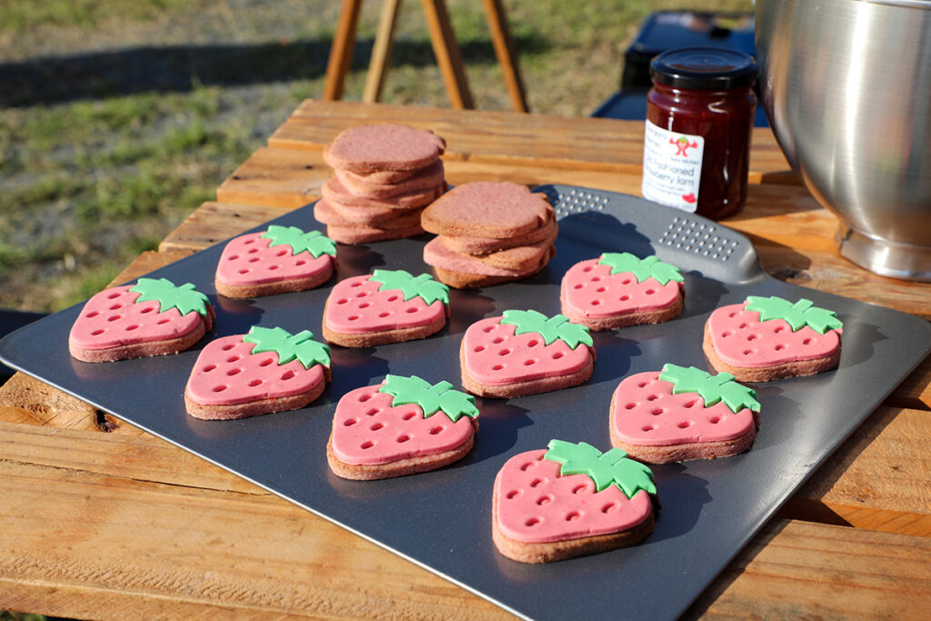 Dessert Trail Taste Bundaberg Festival