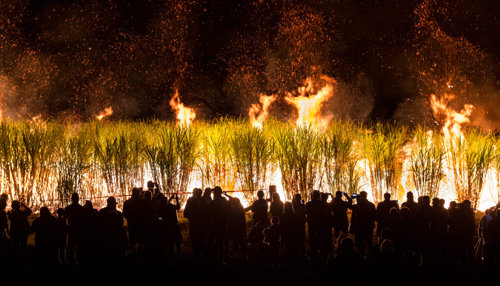 childers cane fire