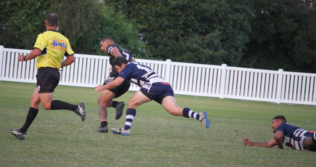 Seagulls Tigers Brothers