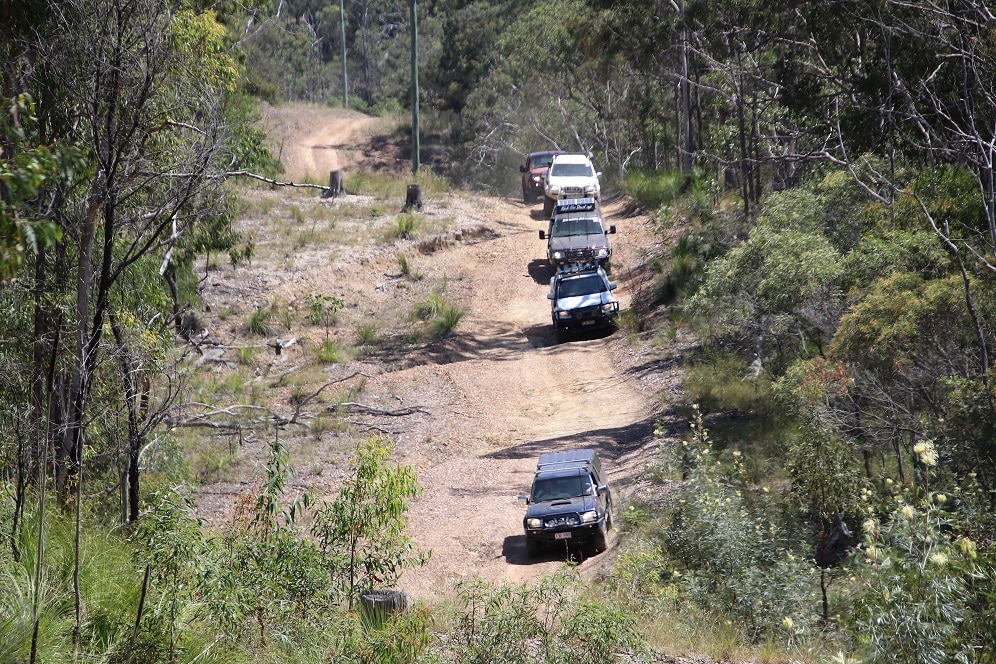 ladies day drive