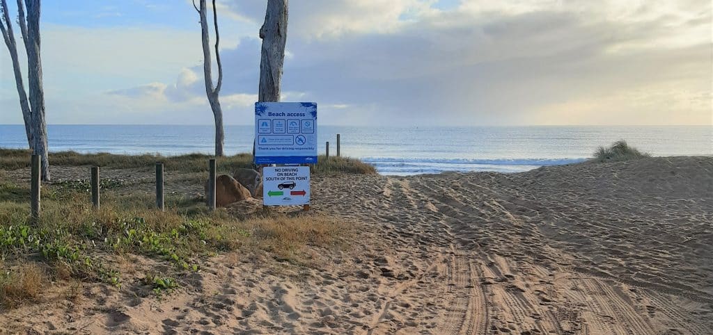 Moore Park Beach four-wheel-drive survey