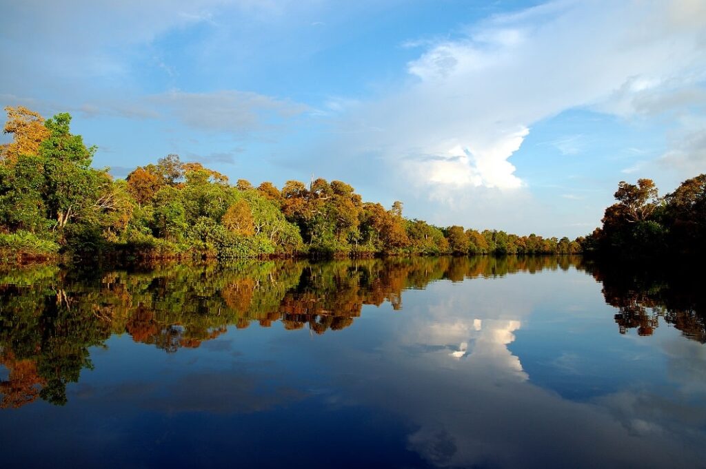 BMRG environmental projects