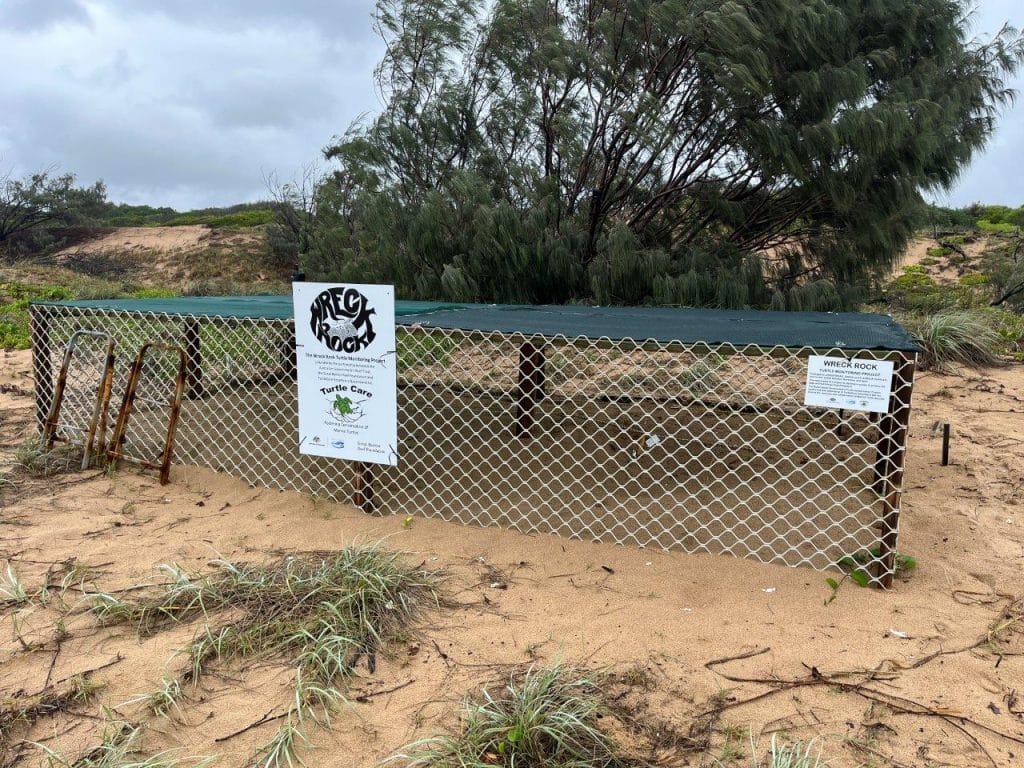4wd club turtle information