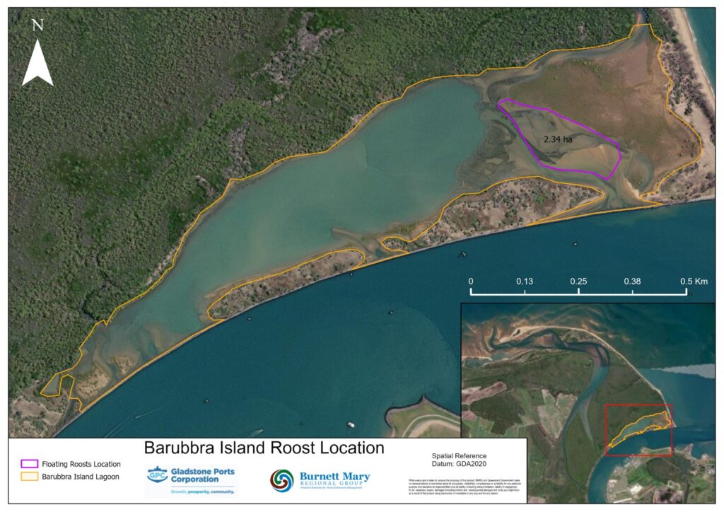 Barubbra Island roost location.