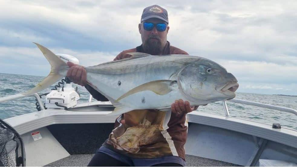fish local Tackle world