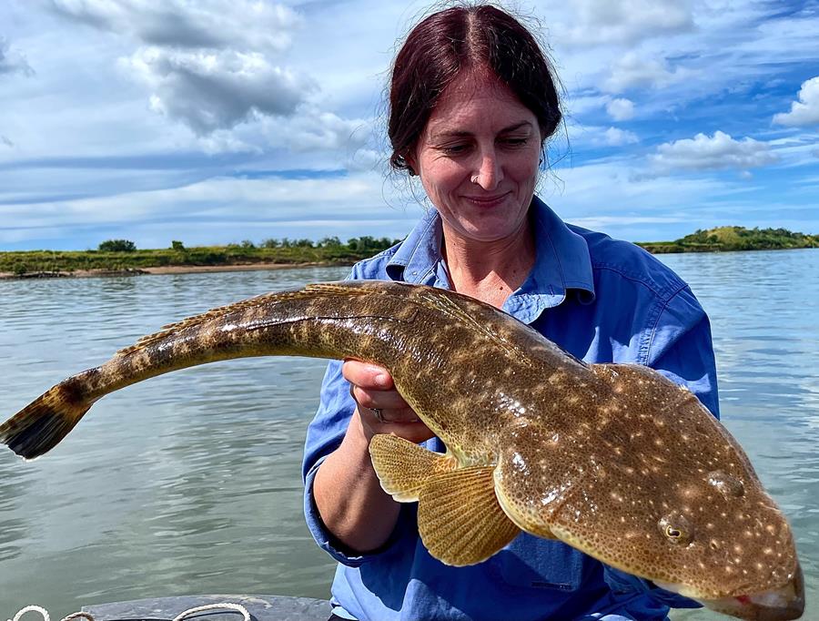 incredible fishing baitfish
