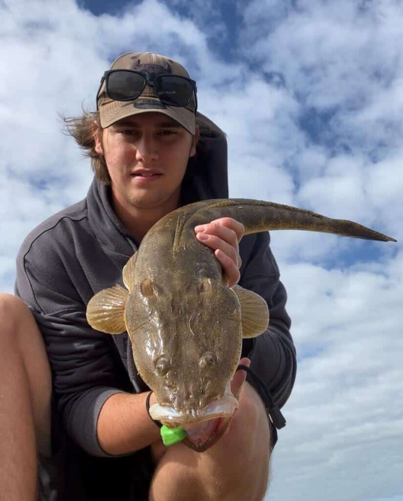 incredible fishing baitfish