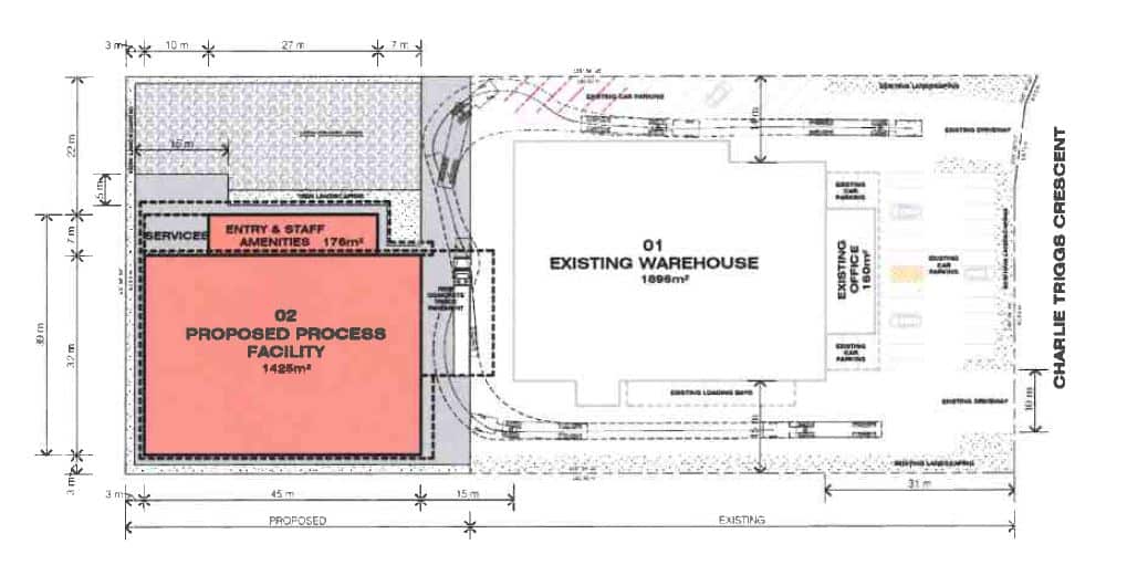 freeze-drying development 2