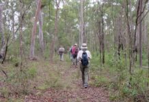 Bundaberg Bushwalking Club
