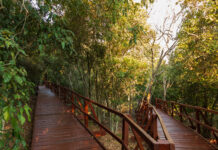 Explore our region: Hummock Reserve