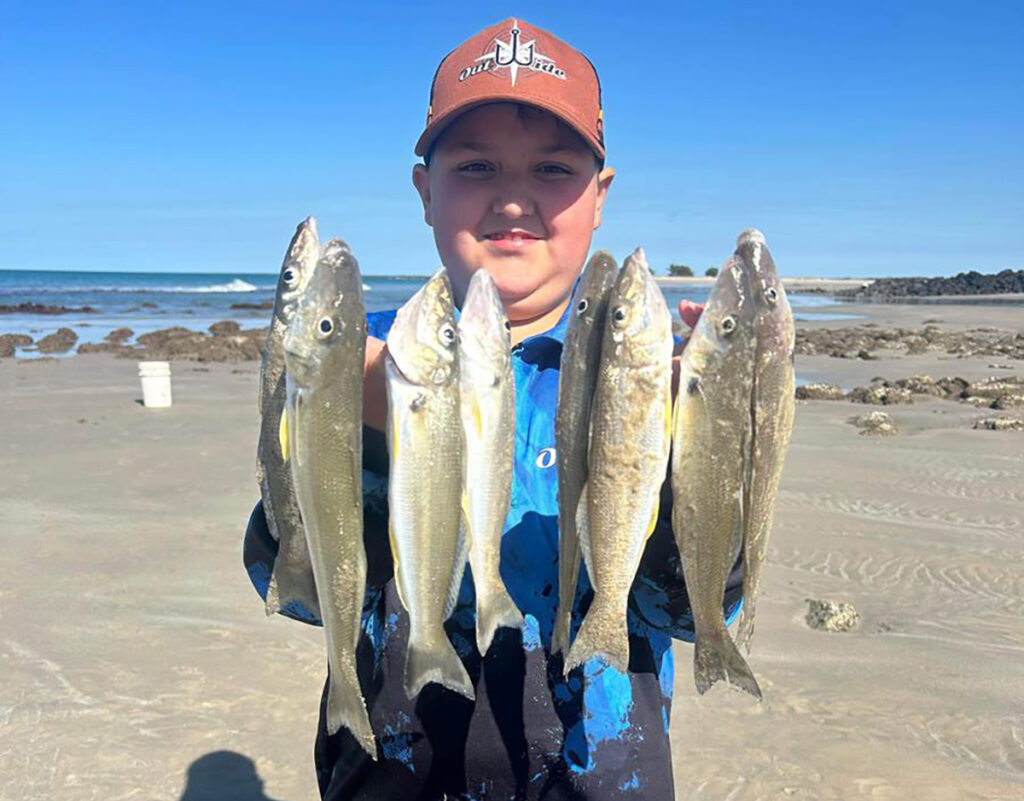 Karada Berthelsen with a great feed of whiting