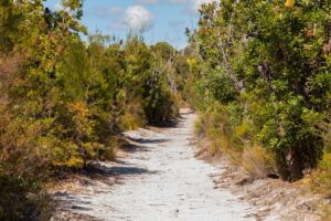 Vera Scarth-Johnson Wildflower Reserve