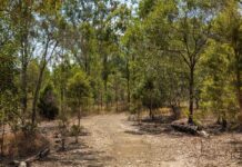 Explore our region: Gin Gin Nature Park