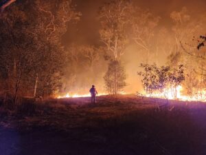 fire season