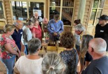 Native Bee workshops