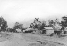 early Avondale