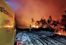 Kinkuna Goodwood fire