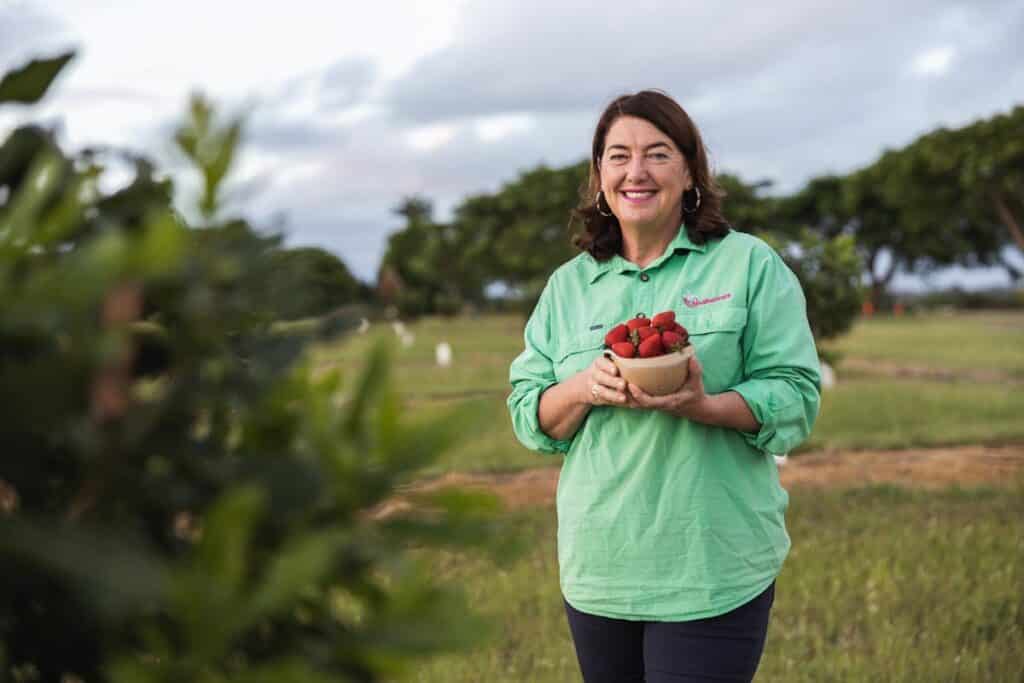 Tinaberries Bundaberg Tourism My Way