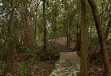 Harry Frauca Walkway