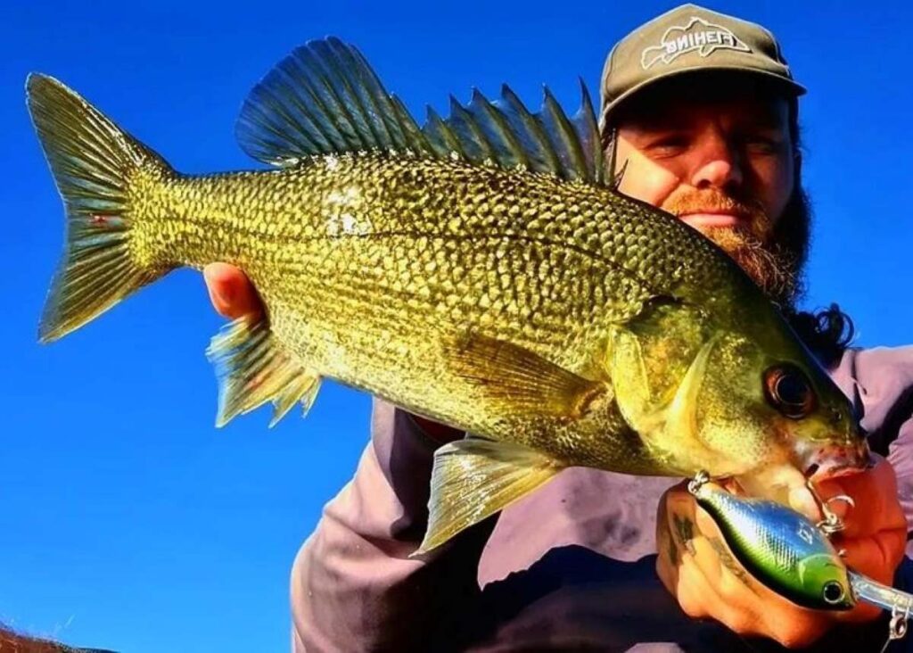 Fishing report