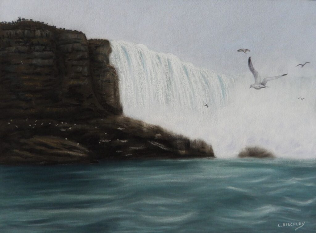 Resilience exhibition