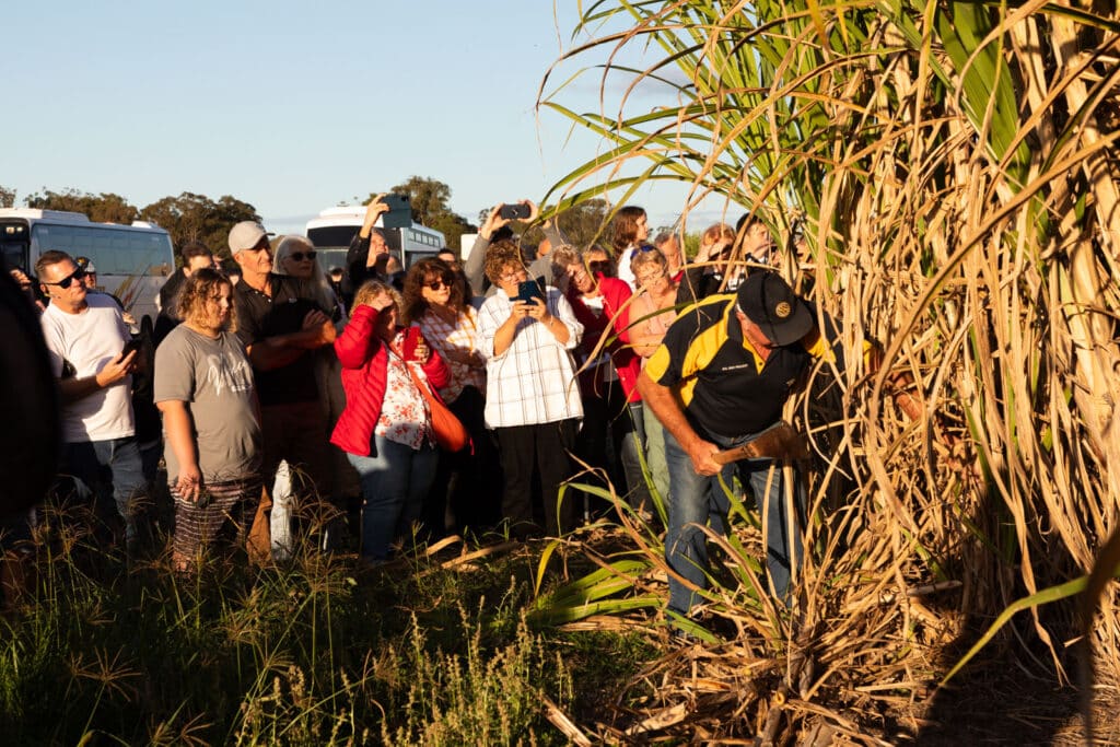 Sugar Mill and Cane Fire Tours