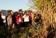 Apply to host a Childers Festival event.