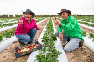 Local Taste Ambassadors Bargara Berries