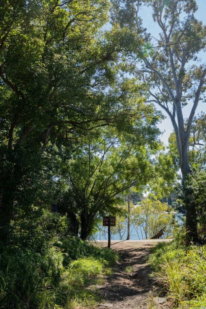 Bundaberg ferry cutting