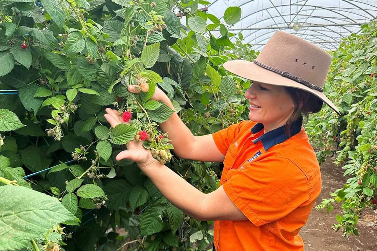 Explore all things delicious along Taste Trail – Bundaberg Now