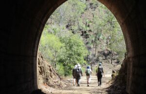 Bundaberg Bushwalking Club 40th anniversary