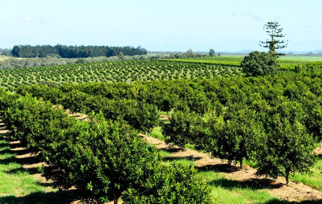 Bundaberg Bioeconomy Conference