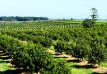 Bundaberg Bioeconomy Conference