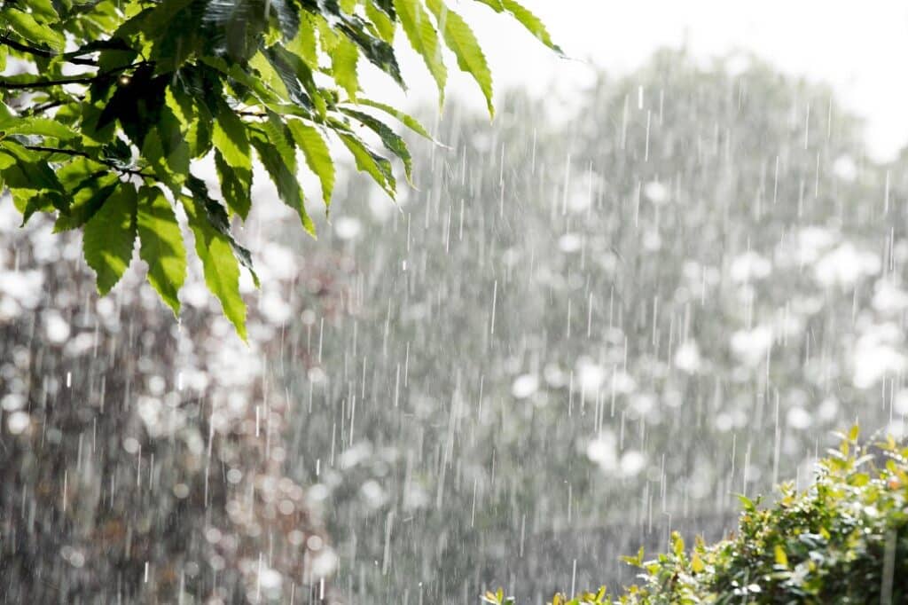 rain