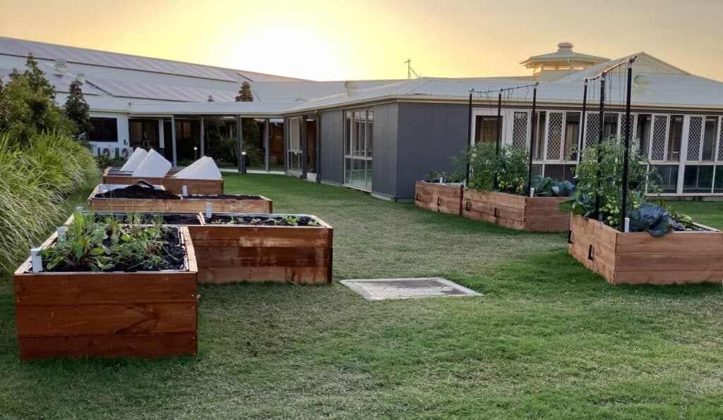 The community agriculture garden beds at Meilene Residential Aged Care.