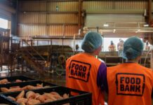 Farm to Families program saves tonnes of food Foodbank