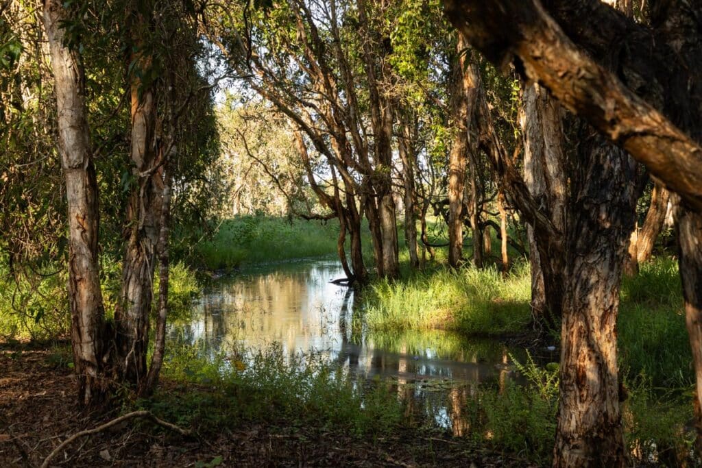 Barolin Nature Reserve
Pasturage Reserve