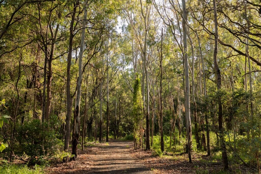 Barolin Nature Reserve Pasturage Reserve