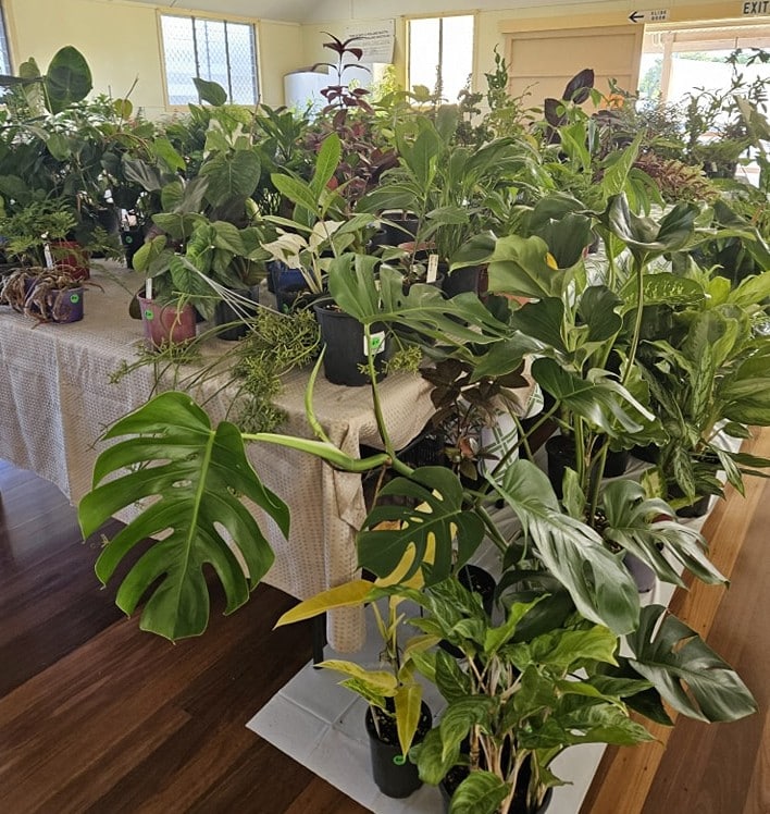 Plant sale