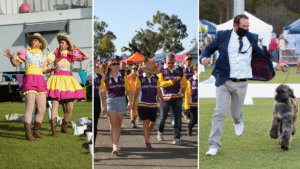 Isis District PA & I Society Inc, Cancer Council Queensland and Bundaberg Canine Club Inc are just some of the local groups to receive a fee wavier for their community events.