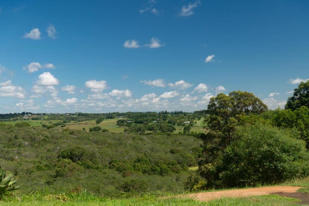 Rankin Road Childers