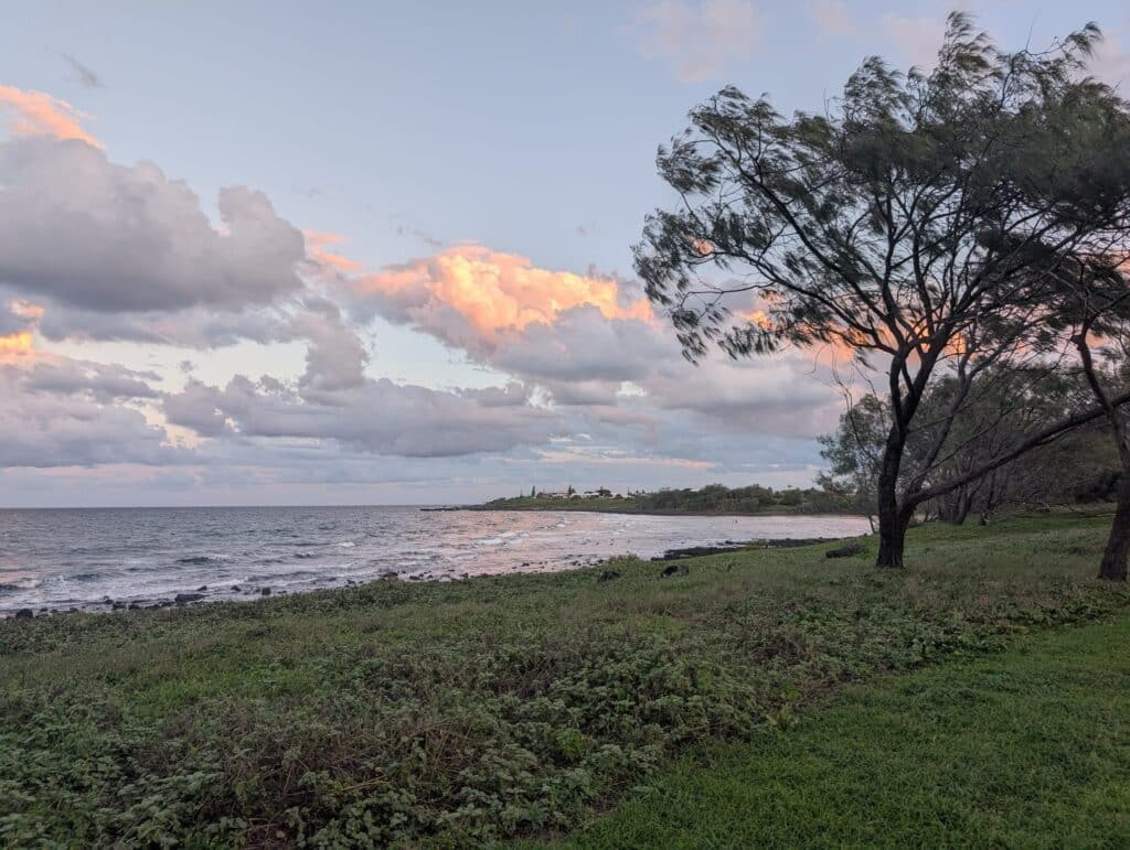 Board riders will enjoy more fun-sized waves over the weekend, but expect conditions to get choppy in the afternoons as winds strengthen. 