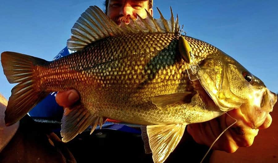 Fishing report 