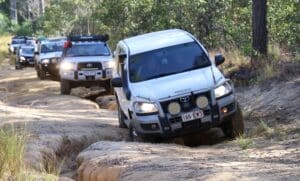 The latest outing for members of the Bundaberg 4WD Club tested their off-roading skills in the Wongi State Forest and Forest Reserve.