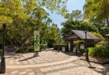 At the Alexandra Park Zoo, staff can provide a free group tour for those interested in learning more about this facility.