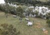 The annual Bundaberg 4WD Clubs 'Camp Cooking Competition' was held recently at the club’s camping grounds on the banks of Kolan River.